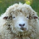 Sleep Guide – The no nonsense guide to sleep