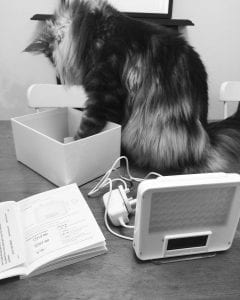 light and sleep - - sleepyheadclinic.co.uk