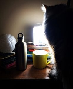 light and how it effects sleep